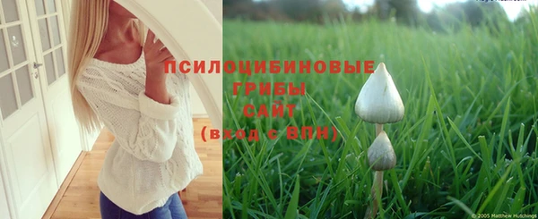 ешки Осинники