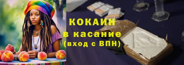 ешки Осинники