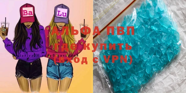 PSILOCYBIN Осташков