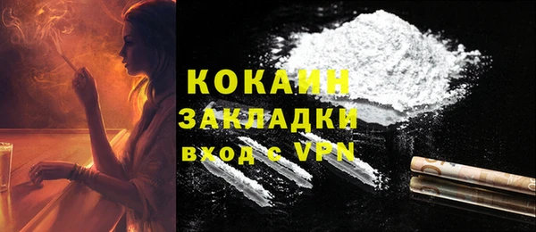 прущие грибы Кострома