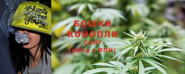 ешки Осинники