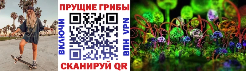 Псилоцибиновые грибы MAGIC MUSHROOMS  Волоколамск 
