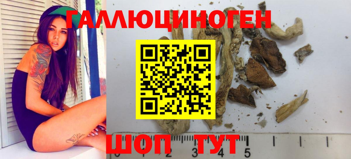 Волоколамск  Галлюциногенные грибы Cubensis  Вход с VPN 